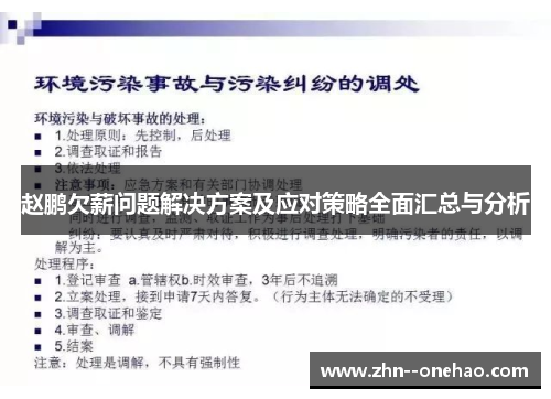 赵鹏欠薪问题解决方案及应对策略全面汇总与分析