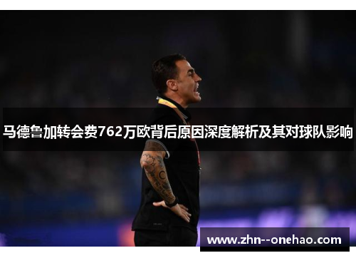 马德鲁加转会费762万欧背后原因深度解析及其对球队影响
